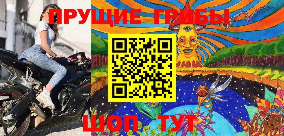Псилоцибиновые грибы мицелий Кохма